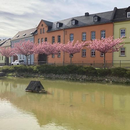 Pension Und Ferienwohnung Am Teich 施莱茨 外观 照片