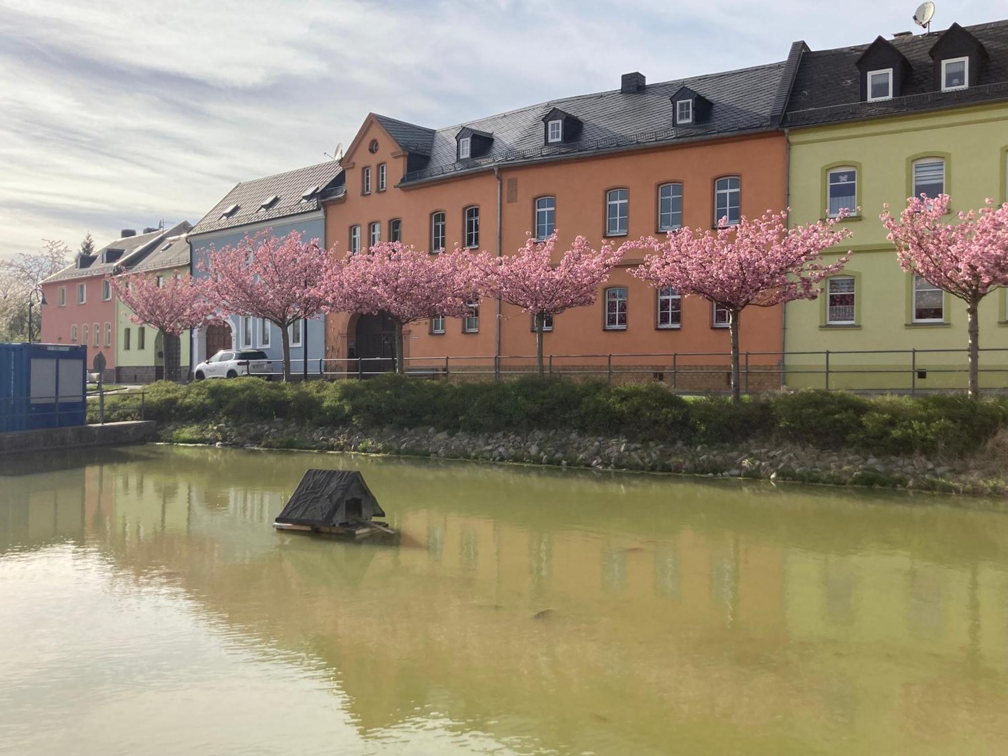 Pension Und Ferienwohnung Am Teich 施莱茨 外观 照片