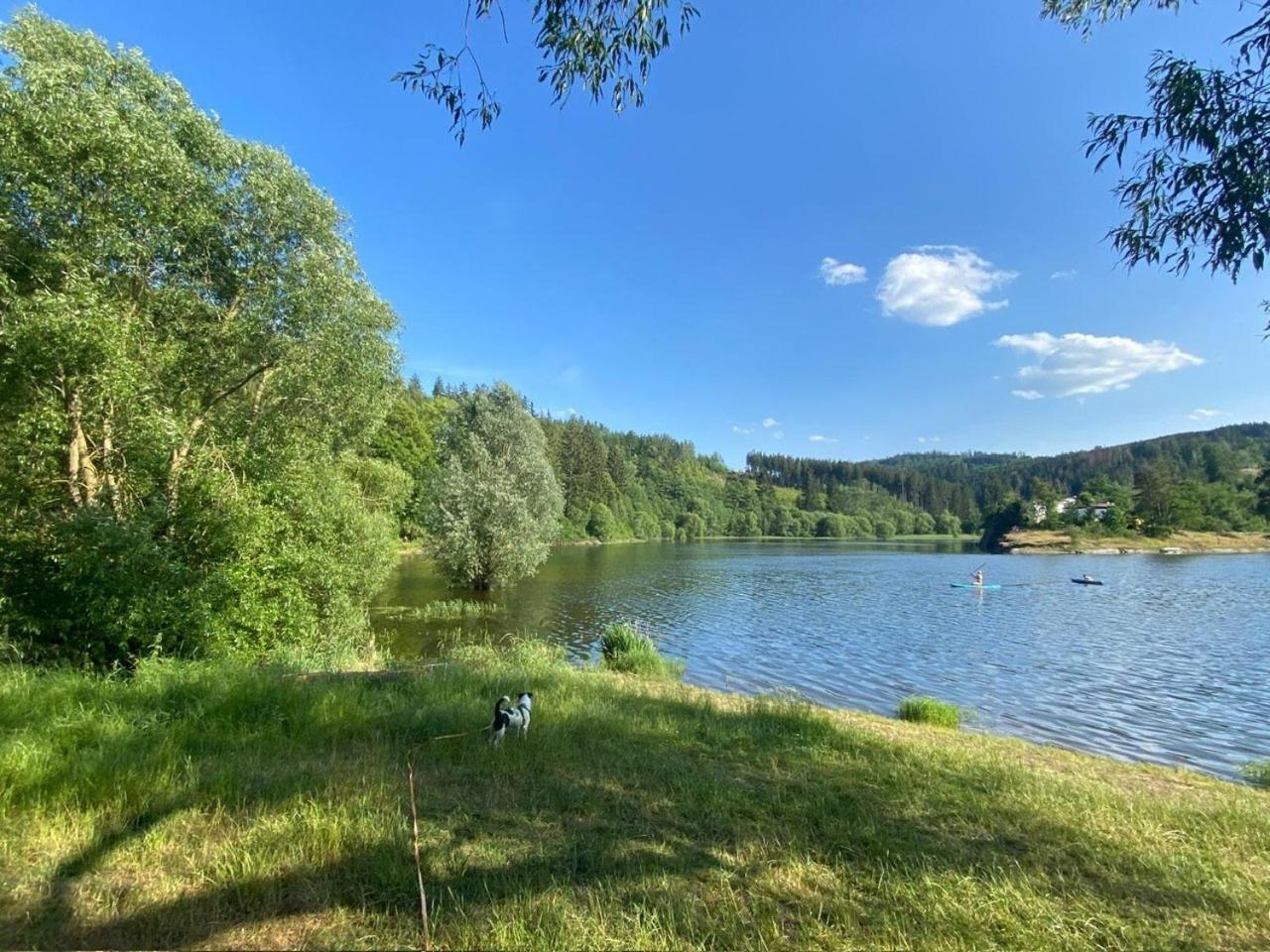 Pension Und Ferienwohnung Am Teich 施莱茨 外观 照片