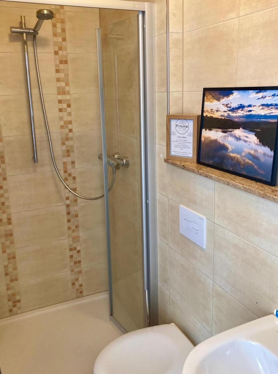 Pension Und Ferienwohnung Am Teich 施莱茨 外观 照片
